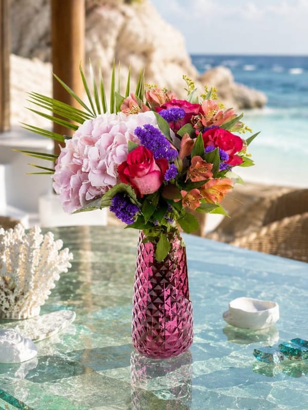 Nola — görsel 2